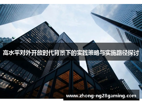 高水平对外开放时代背景下的实践策略与实施路径探讨