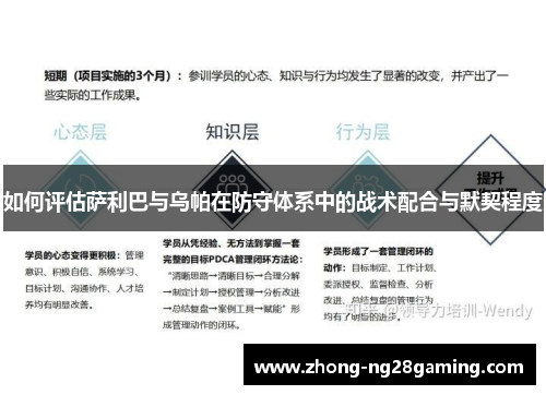 如何评估萨利巴与乌帕在防守体系中的战术配合与默契程度